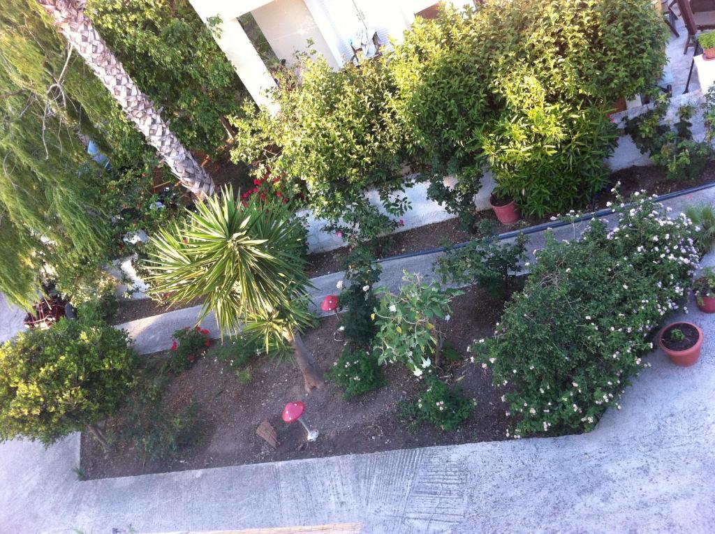 Manine Apartments Kos Town Room photo